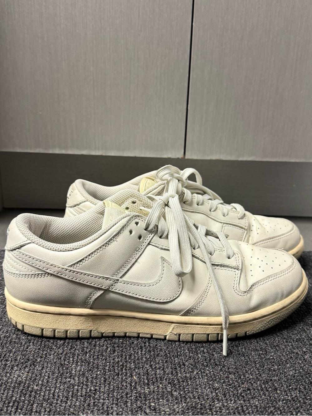 Nike Low Top Dunks